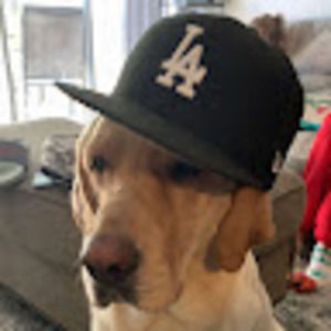 Meet your Posher, Kayden